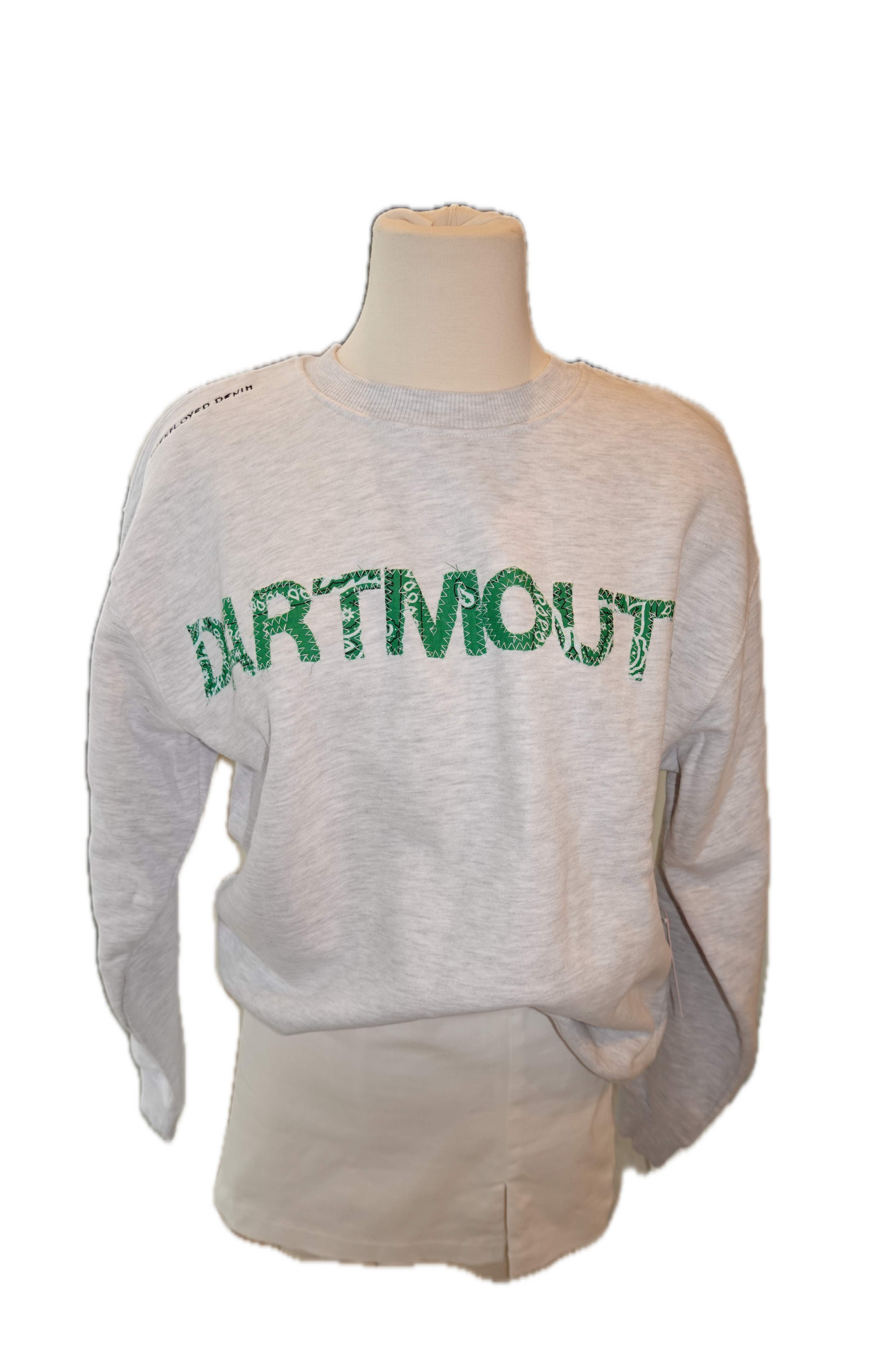 Dartmouth Letter Crewneck Sweatshirt