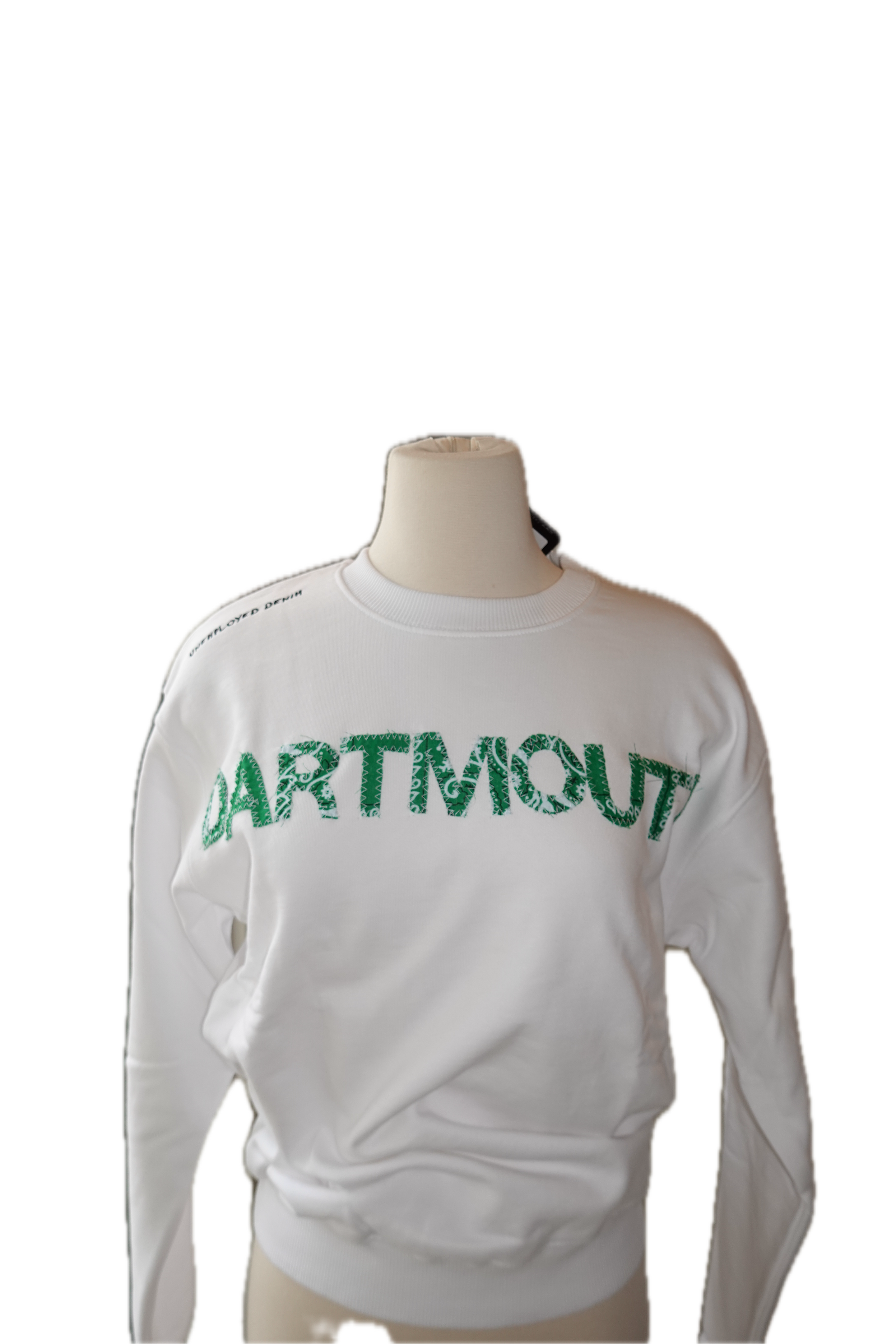 Dartmouth Letter Crewneck Sweatshirt