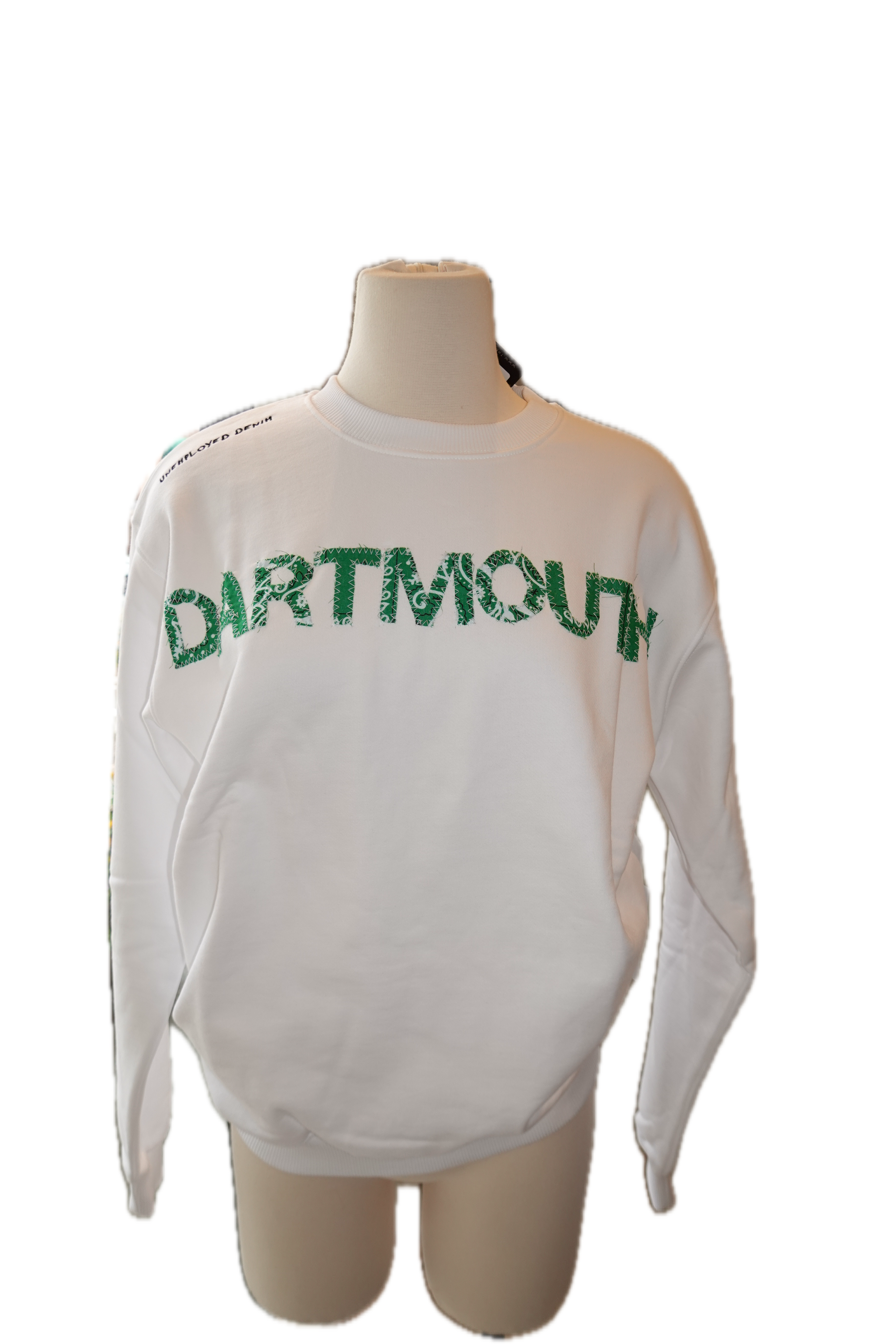 Dartmouth Letter Crewneck Sweatshirt