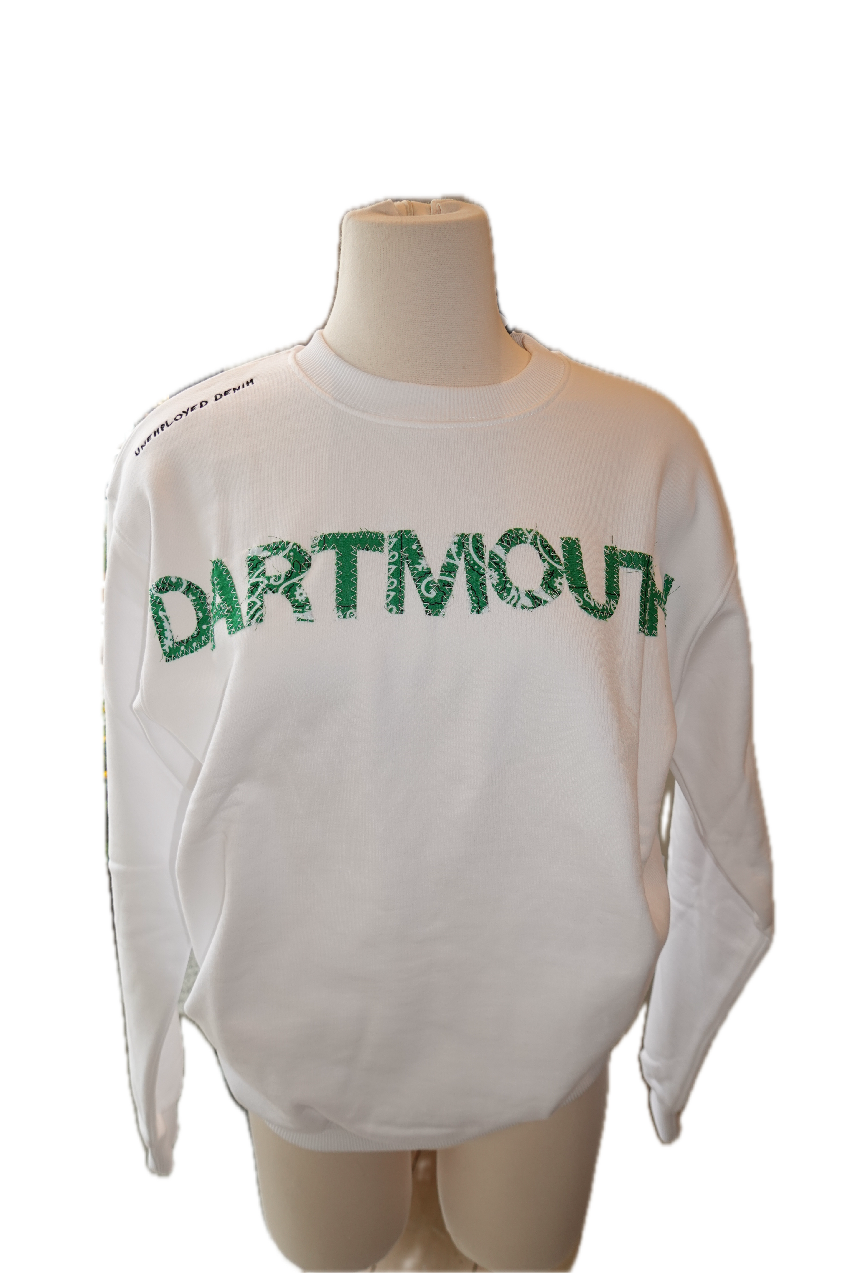 Dartmouth Letter Crewneck Sweatshirt