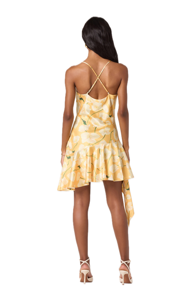 Paloma Dress
