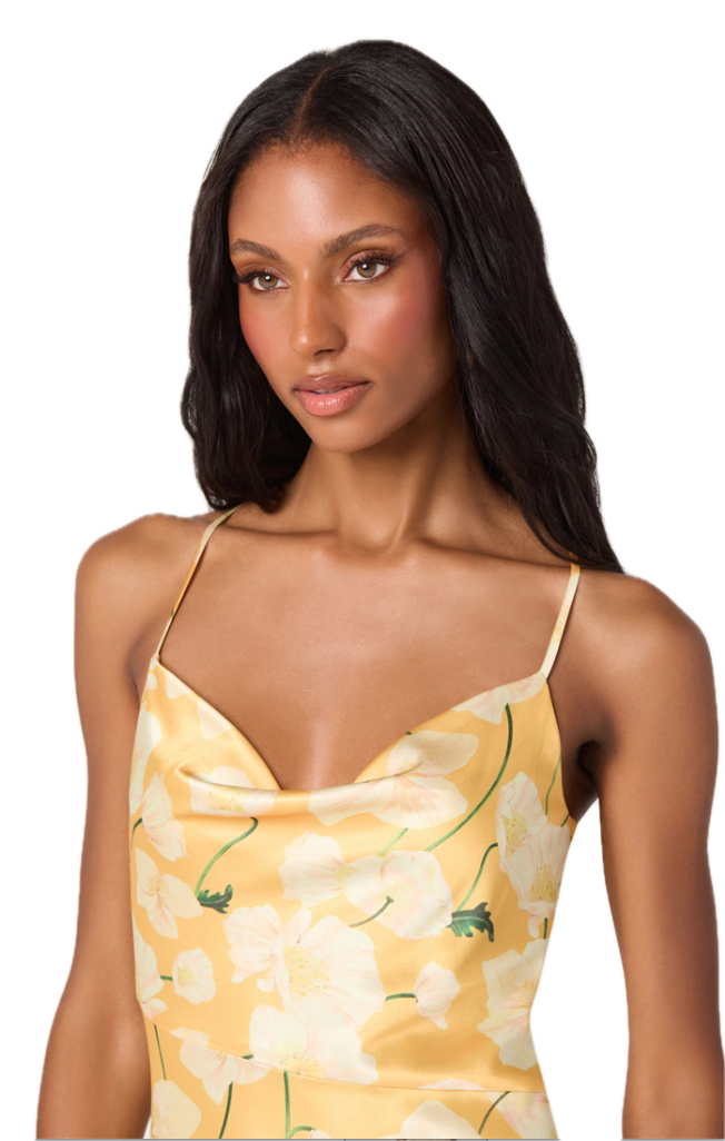 Paloma Dress