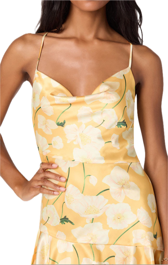 Paloma Dress