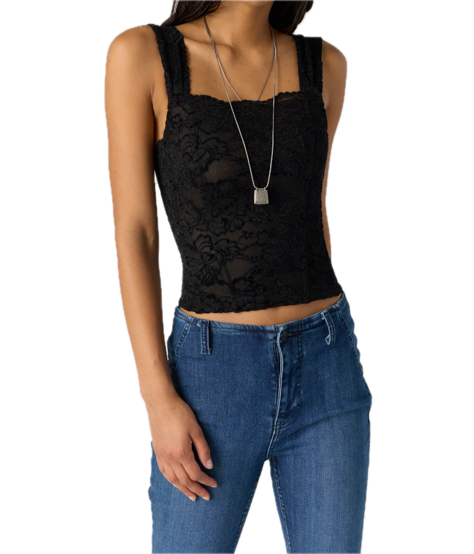 Pretty Little Secrets Corset