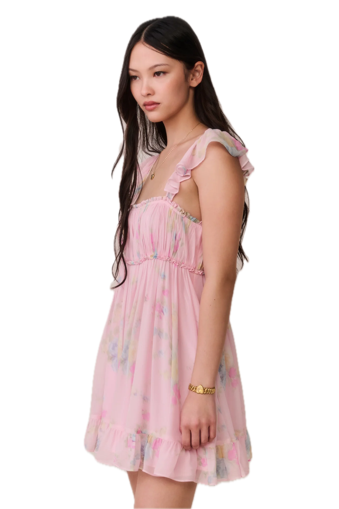 Zanira Floral Chiffon Mini Dress