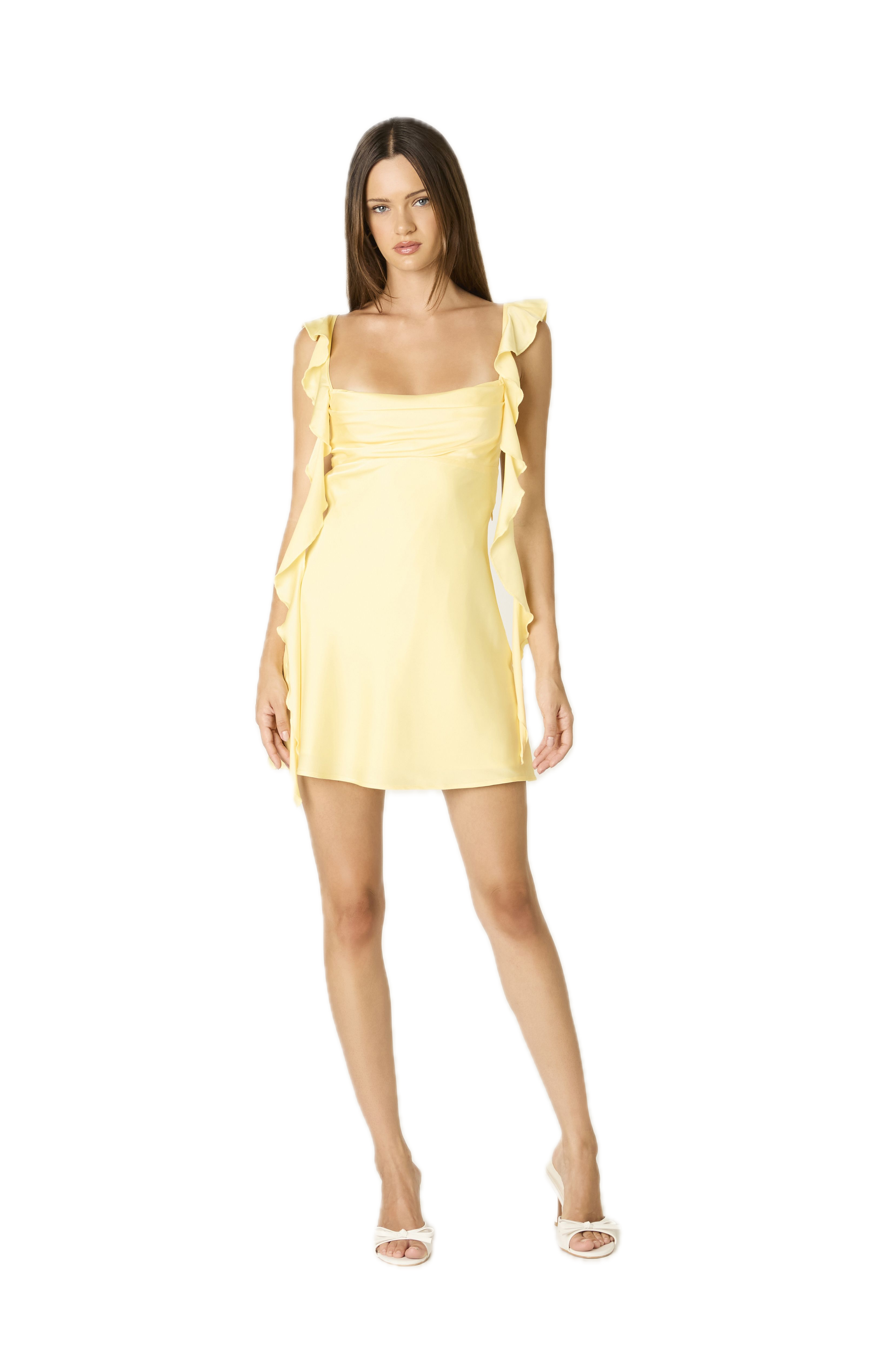 Fountain Mini Dress