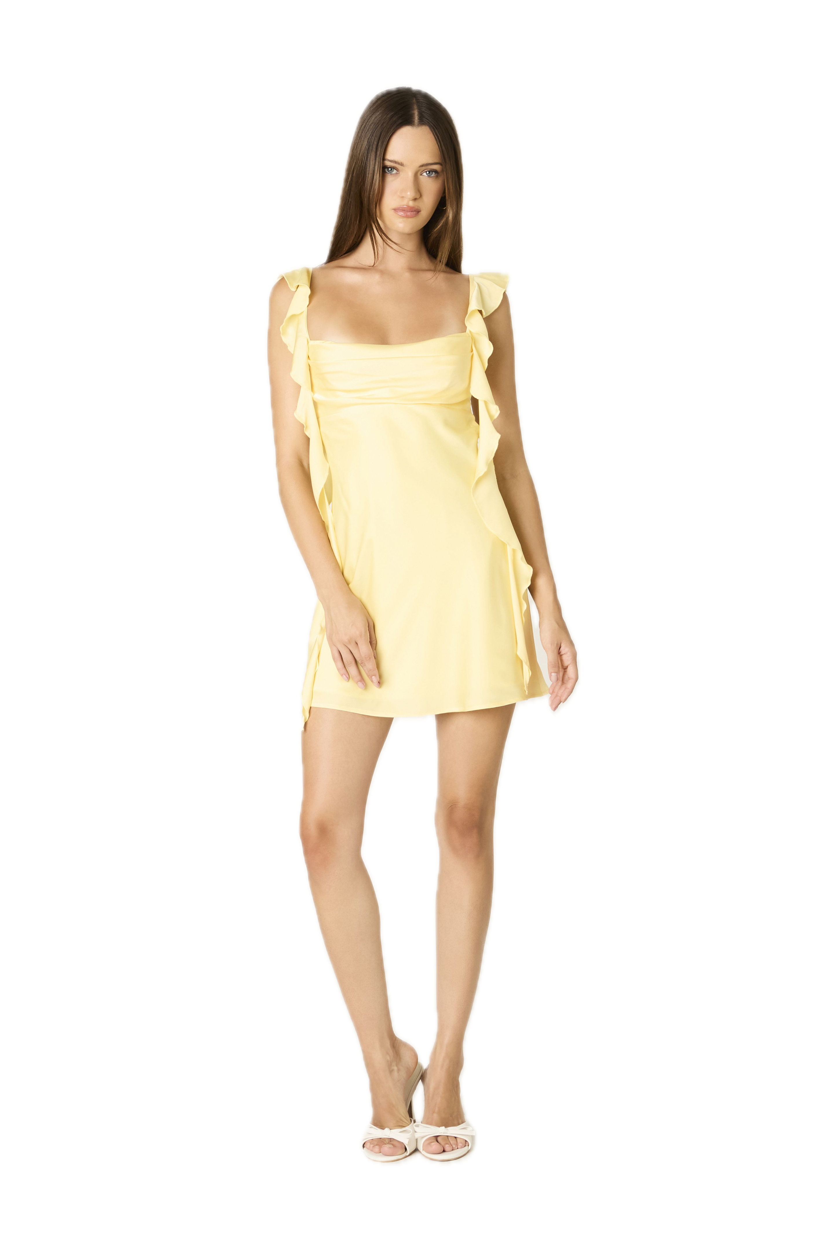 Fountain Mini Dress