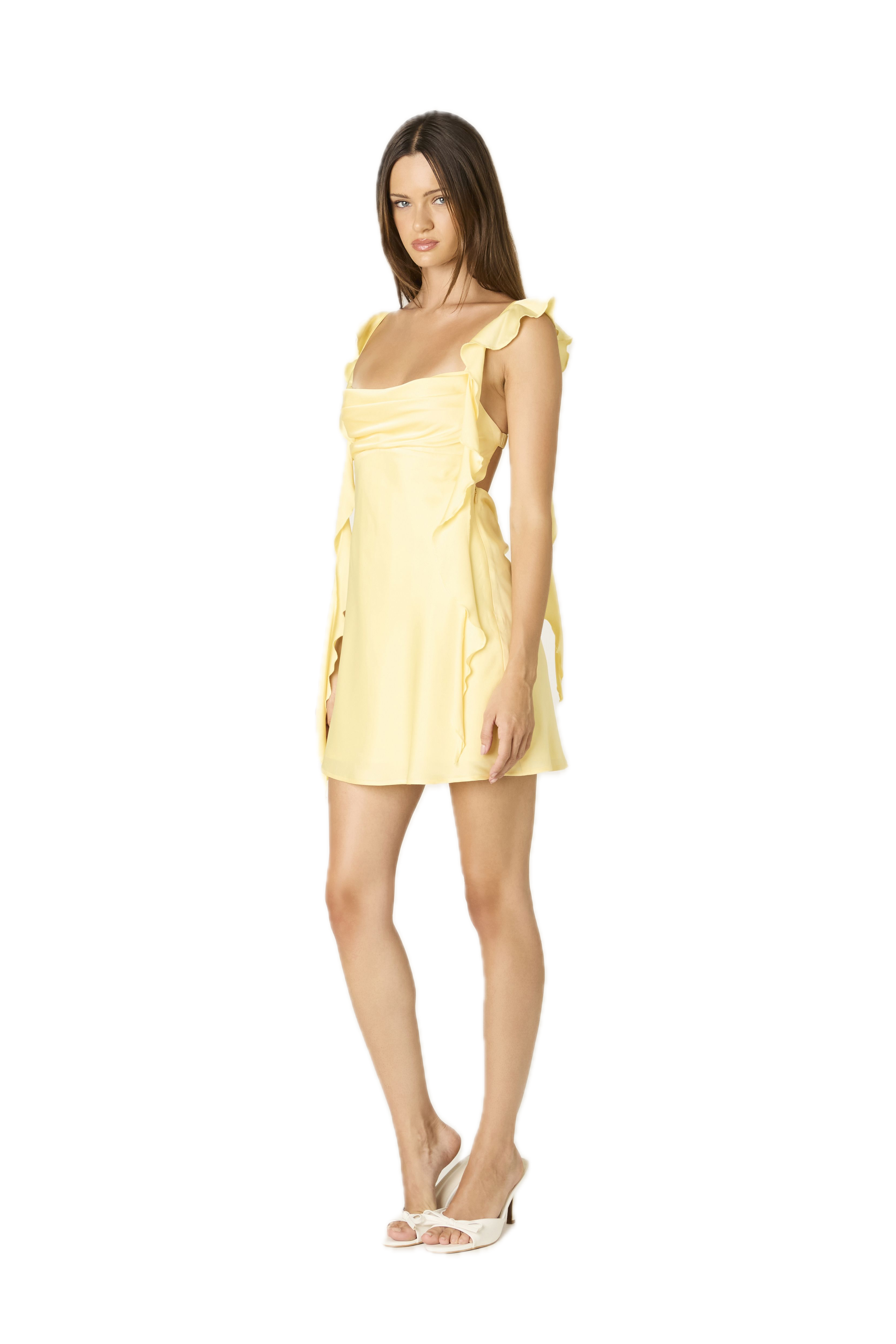 Fountain Mini Dress