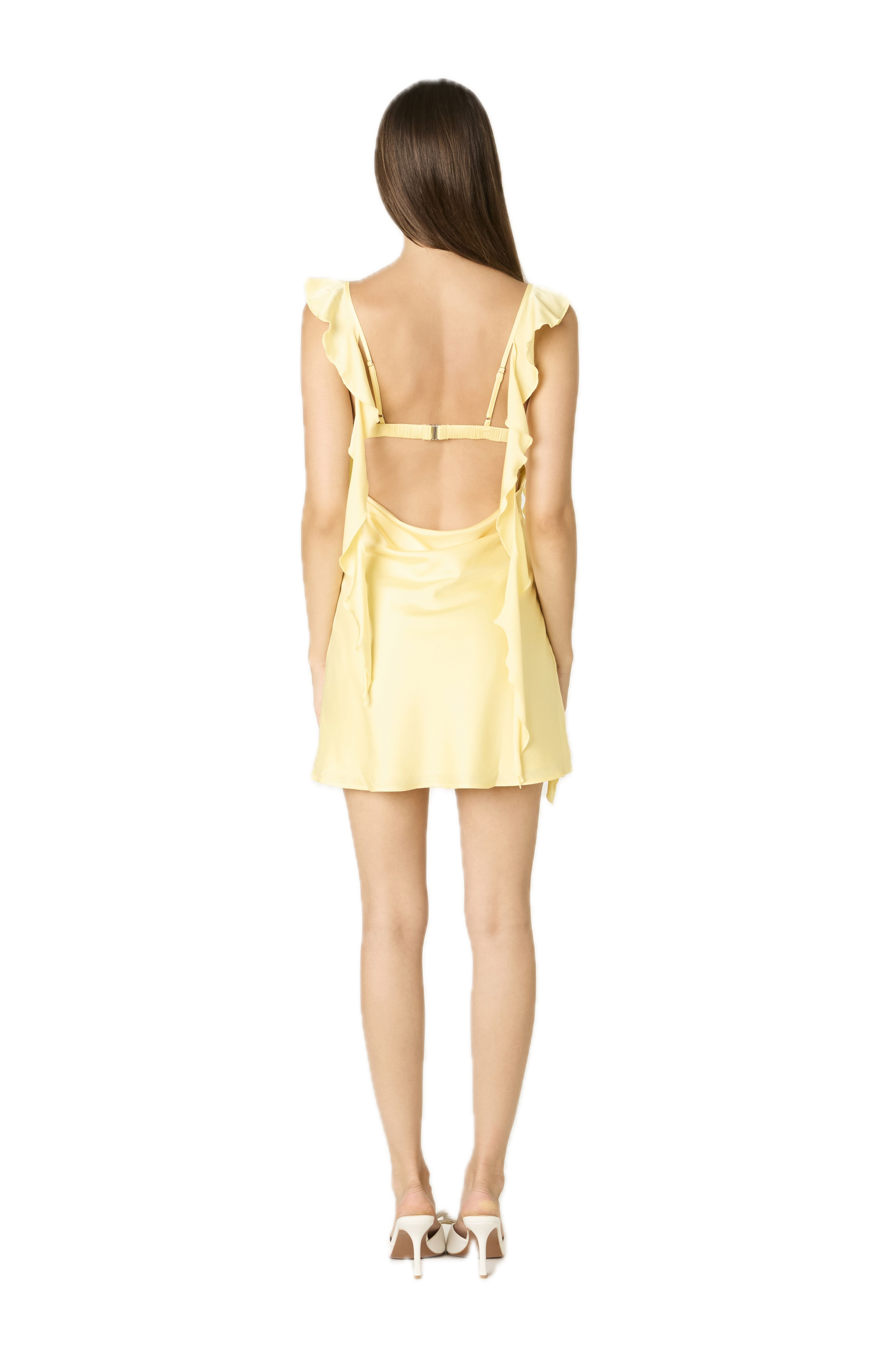 Fountain Mini Dress