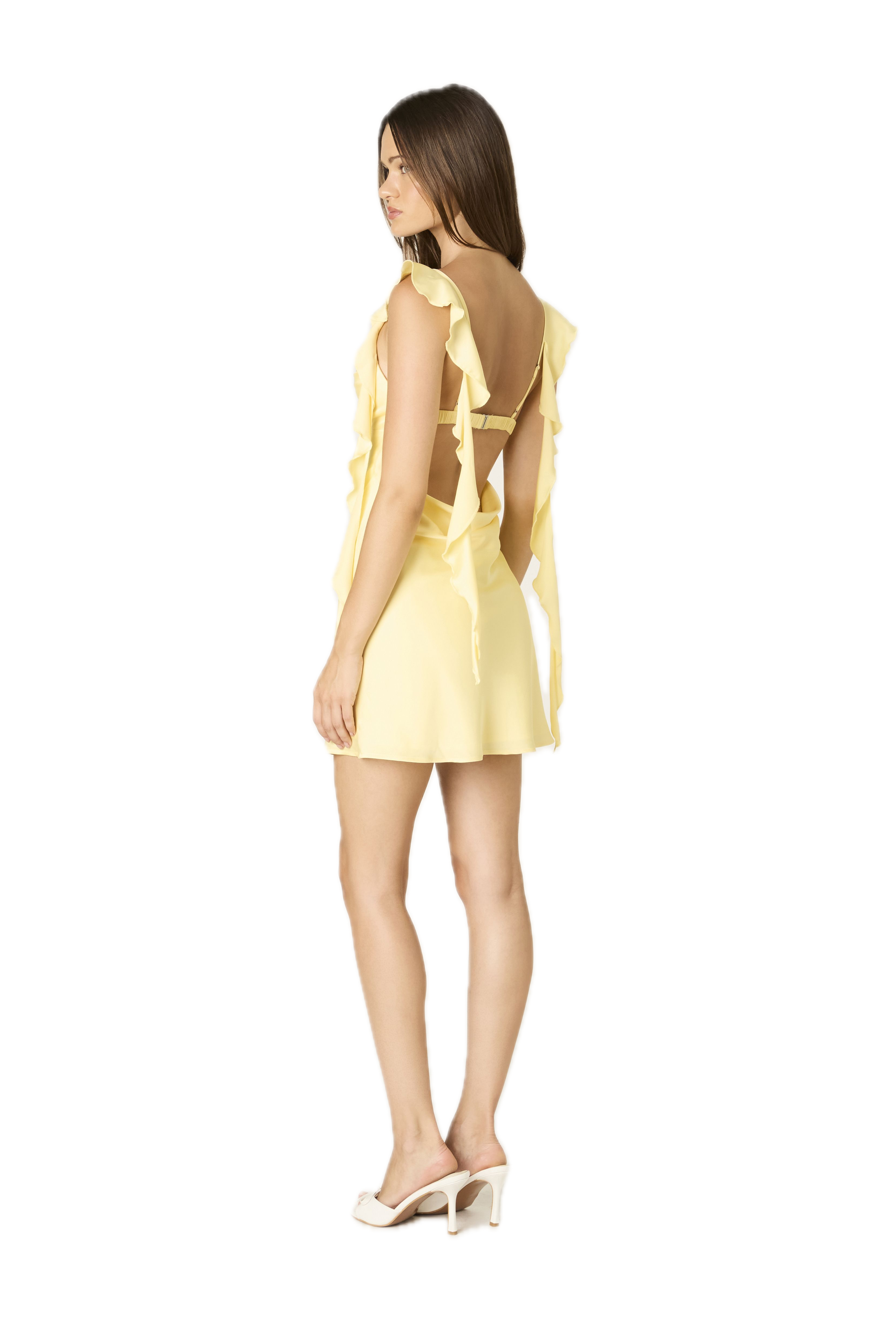 Fountain Mini Dress