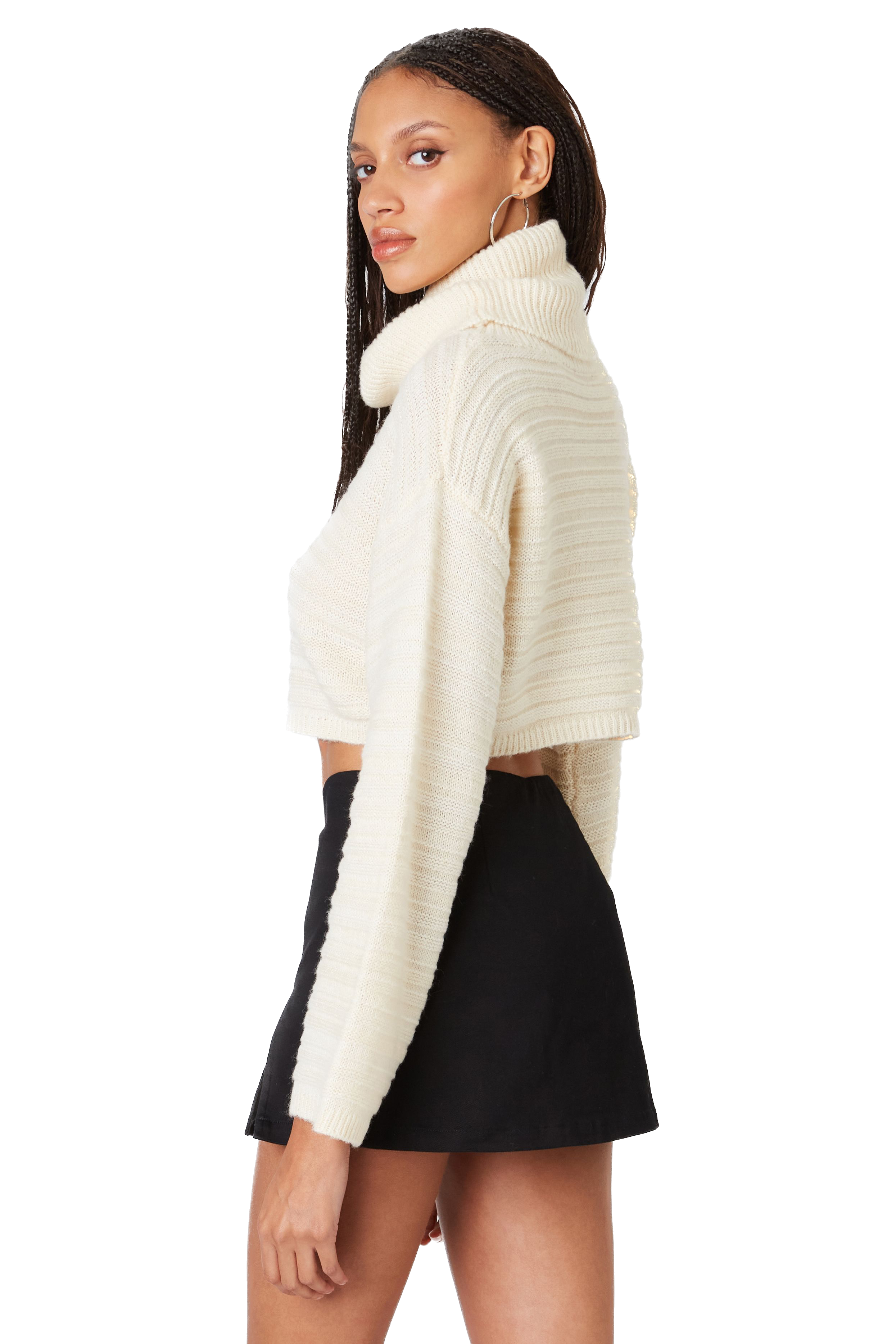 Alana Turtleneck Sweater