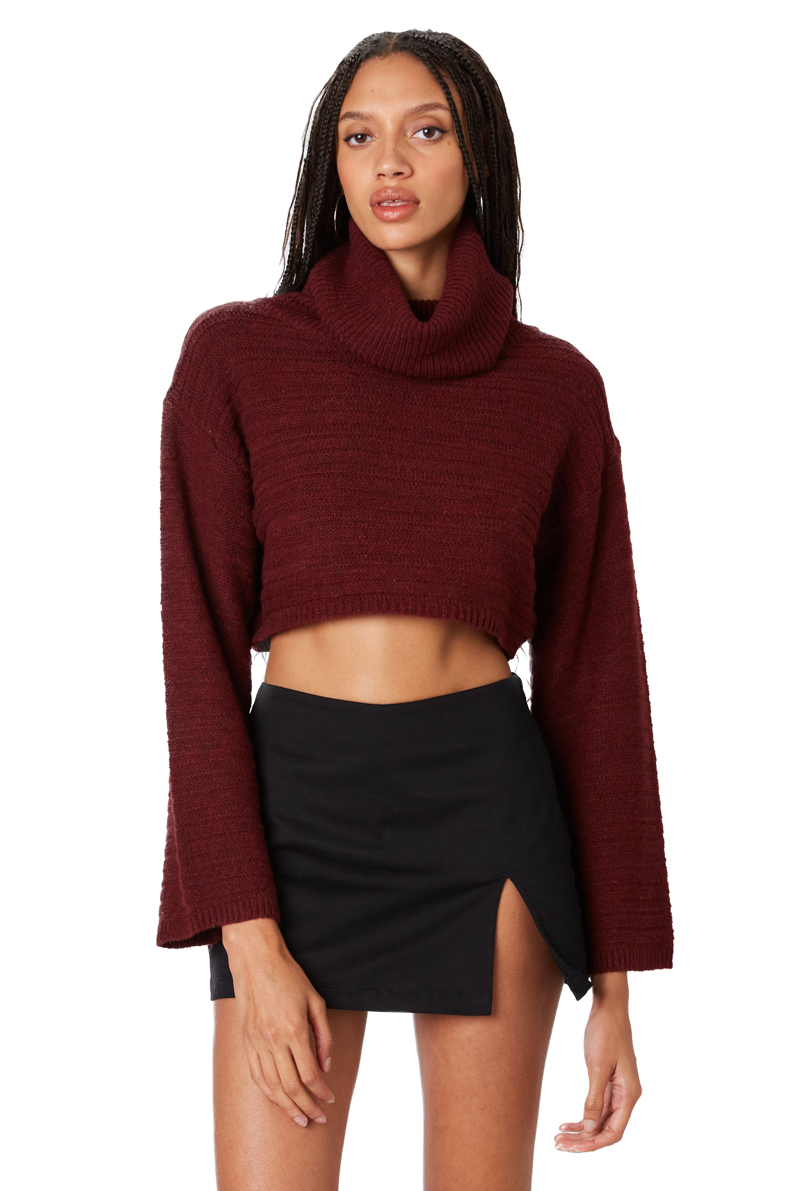 Alana Turtleneck Sweater