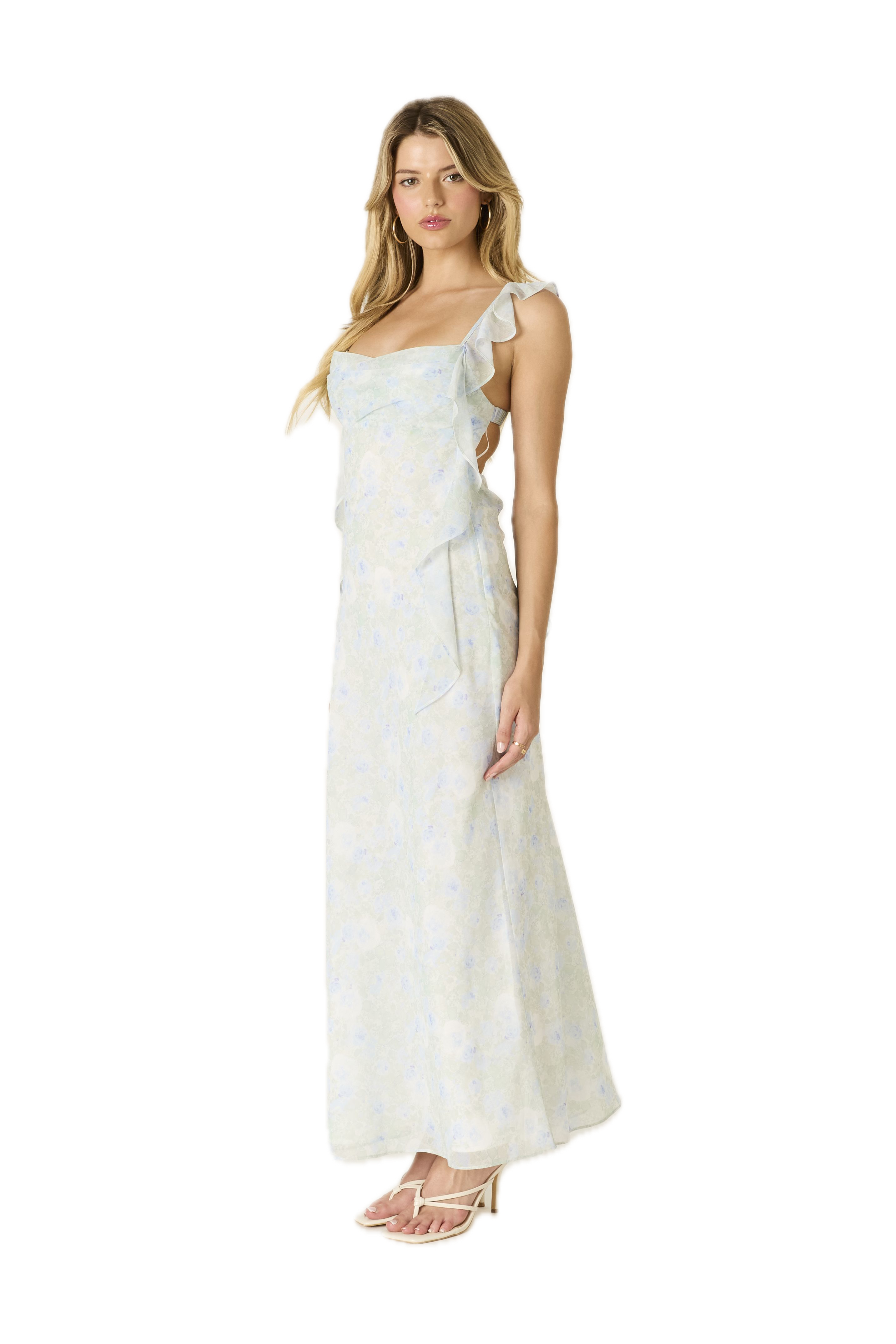 Printed Fountain Maxi Dress