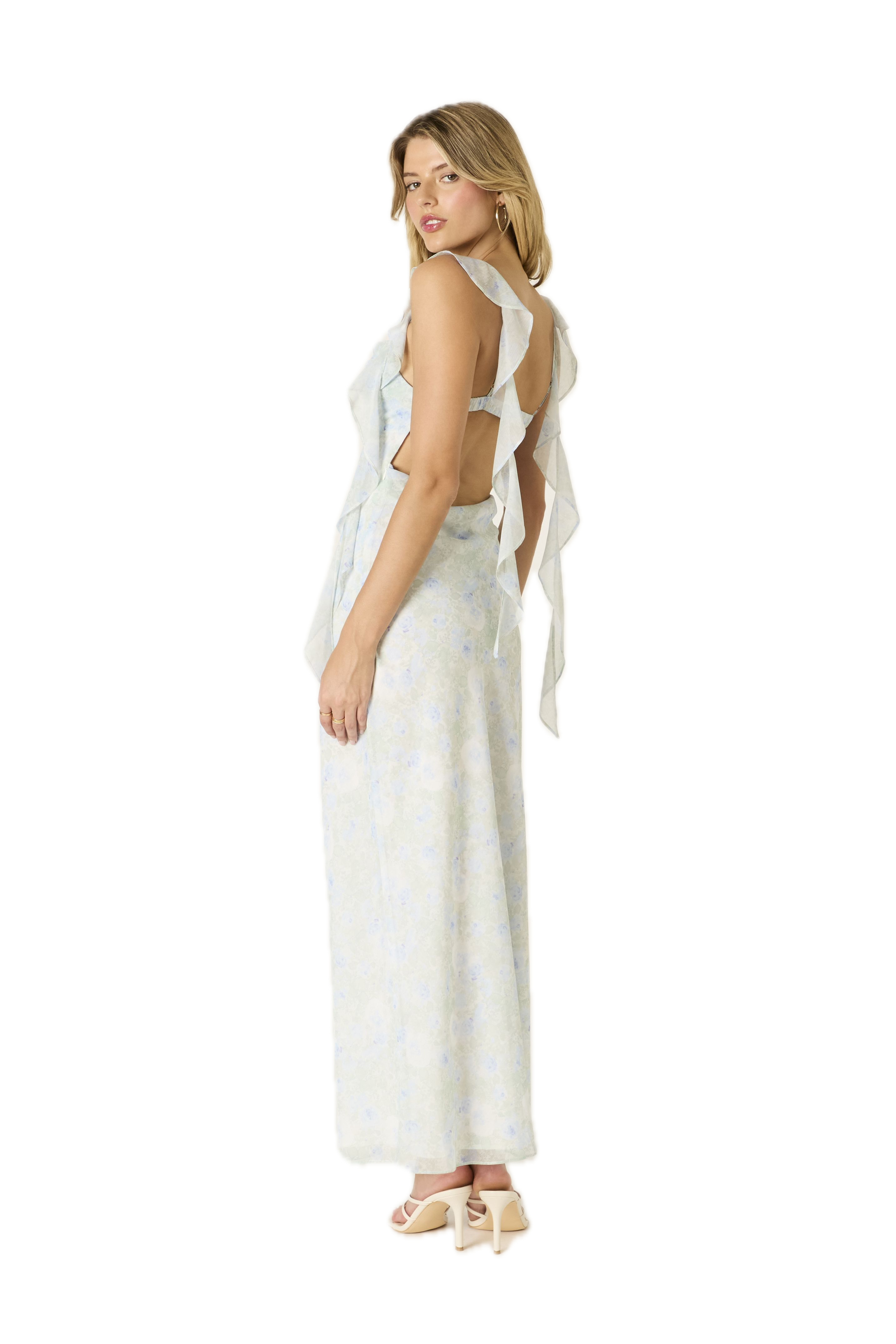 Printed Fountain Maxi Dress